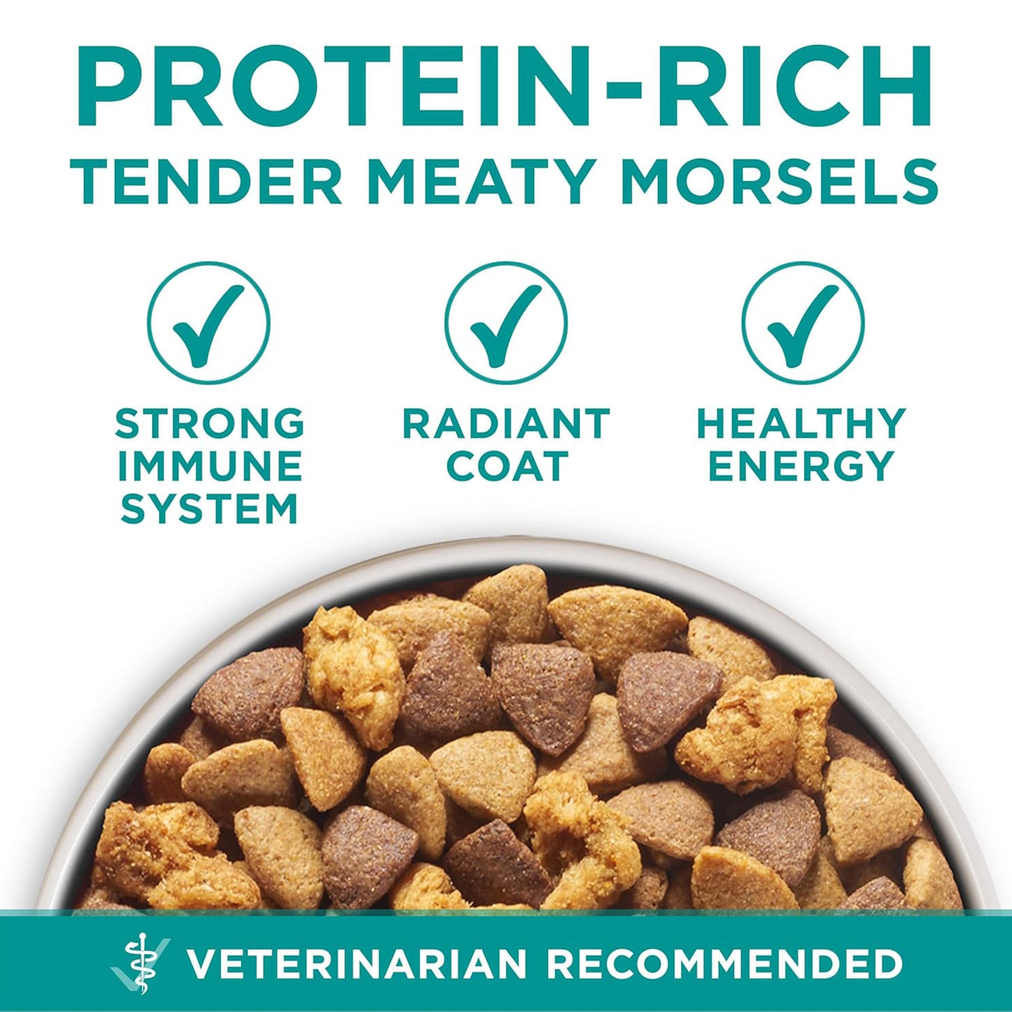 (3.63kg) Purina ONE Plus Dry Dog Food Digestive Health Formula