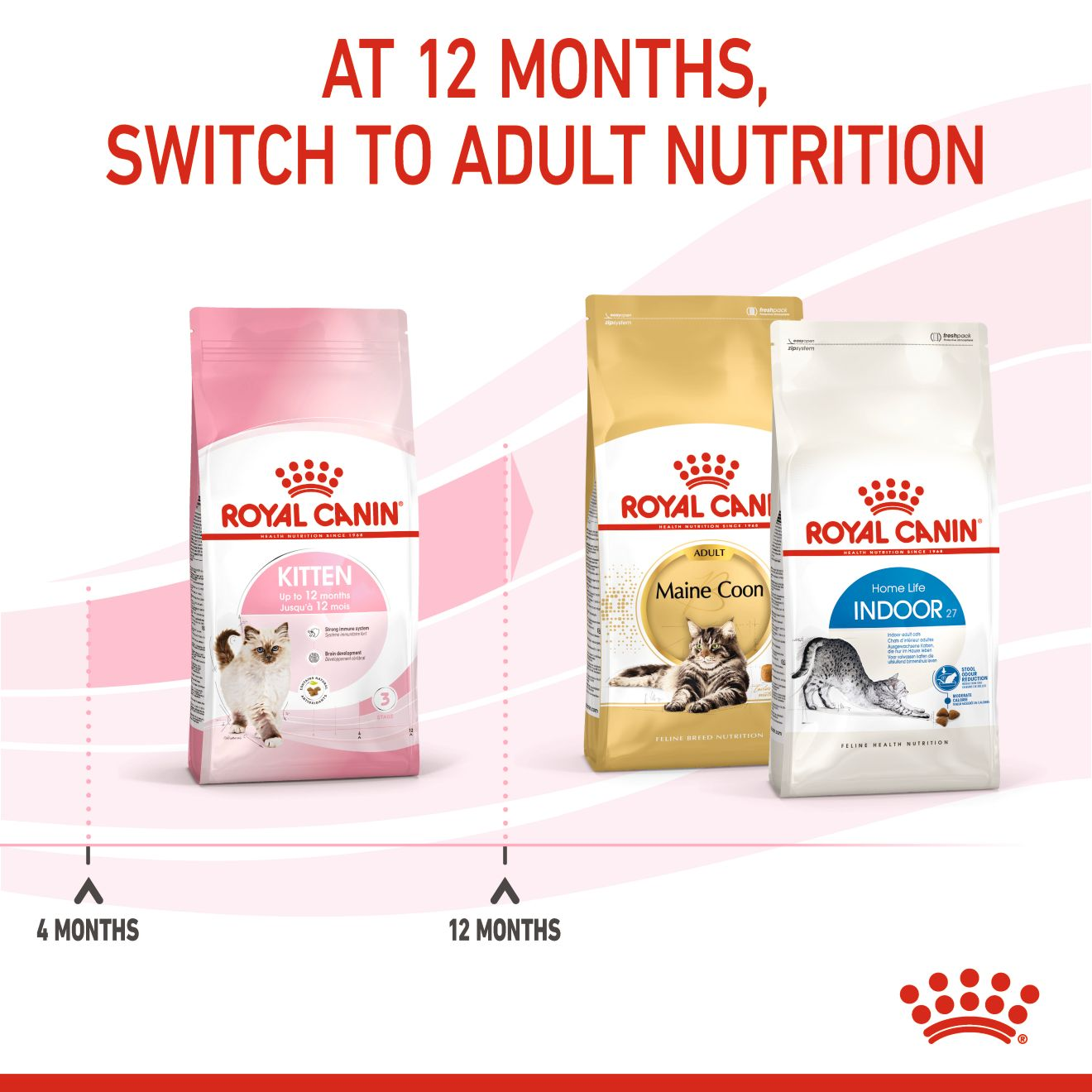 Royal Canin Feline Health Nutrition Kitten 4 kg