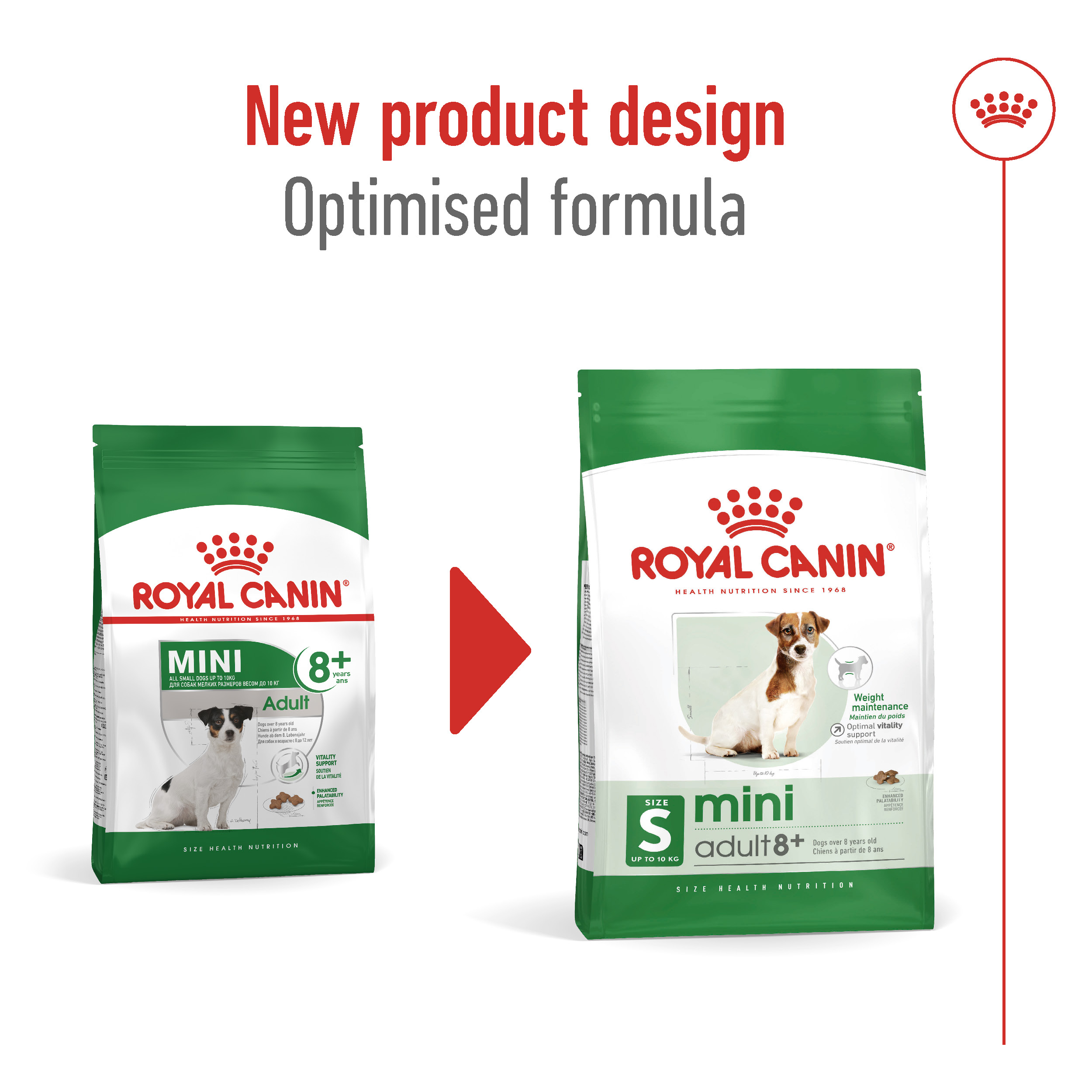 Royal Canin Mini Adult Dog Dry Food, Health Nutrition Mini Adult Dry Dog Food 2 Kg Multicolor