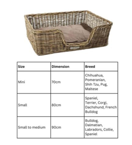 51DN Rattan Rectangular Basket with Cushion