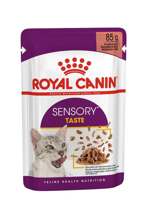 Royal Canin 12 x 85 gm Feline Health Nutrition Sensory Taste Gravy (Wet Food Pouches)