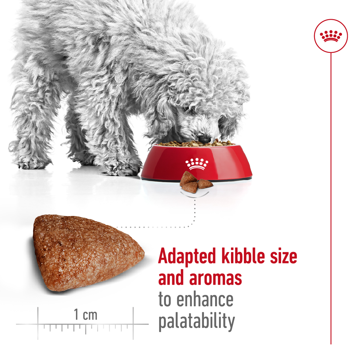Royal Canin Size Health Nutrition Mini Indoor Adult 1.5 kg