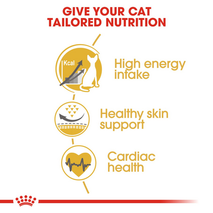 Royal Canin Feline Breed Nutrition Sphynx 2 kg