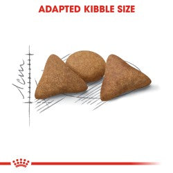 Buy Royal Canin Feline Health Nutrition Indoor 4 kg and GET FREE Royal Canin  Feline Health Nutrition Indoor (Wet Food - Pouches) 12 x 85 gm