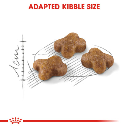 Royal Canin Feline Health Nutrition Kitten 10 kg