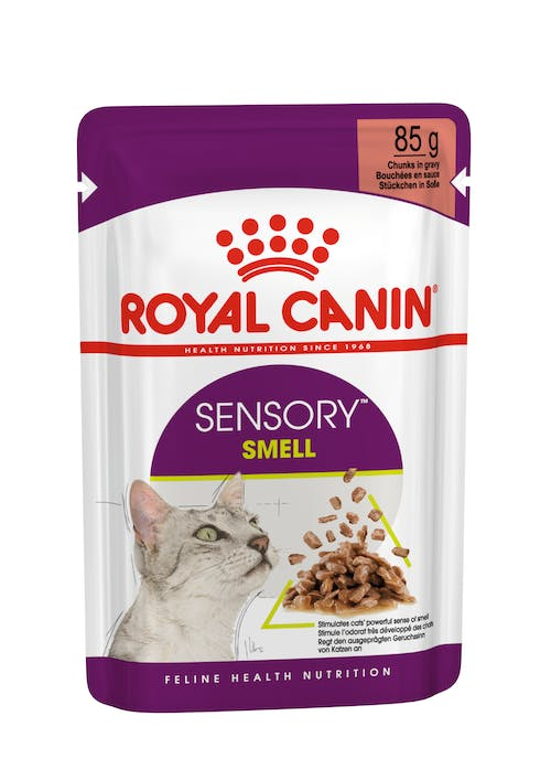 Royal Canin Feline Health Nutrition Sensory Smell Gravy (Wet Food Pouches) 12 x 85 g