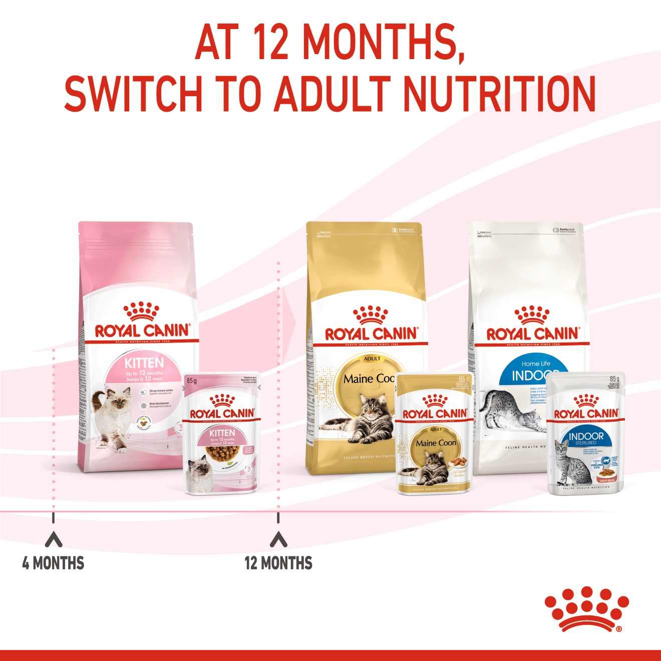 Buy Royal Canin Feline Health Nutrition Kitten 4 kg and Get FREE Royal Canin  Feline Health Nutrition Kitten Gravy (Wet Food - Pouches) 12 x 85 g