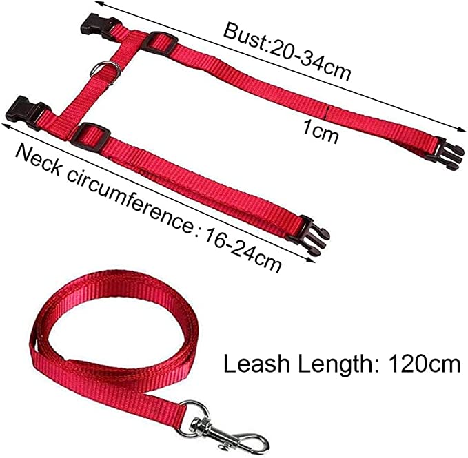 Cat and Small animal Harness and Leash - Adjustable Nylon Traction Chest Strap, Quick Release Buckles, Comfortable and Breathable Mesh Fabric