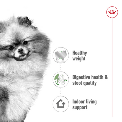 Royal Canin Size Health Nutrition Mini Indoor Adult 1.5 kg