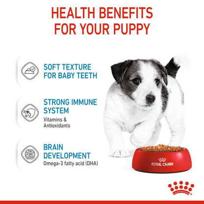 Royal Canin Size Health Nutrition Mini Puppy (Wet Food   Pouches) 12 x 85 g