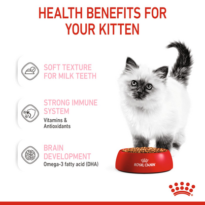 Buy Royal Canin Feline Health Nutrition Kitten 4 kg and Get FREE Royal Canin  Feline Health Nutrition Kitten Gravy (Wet Food - Pouches) 12 x 85 g