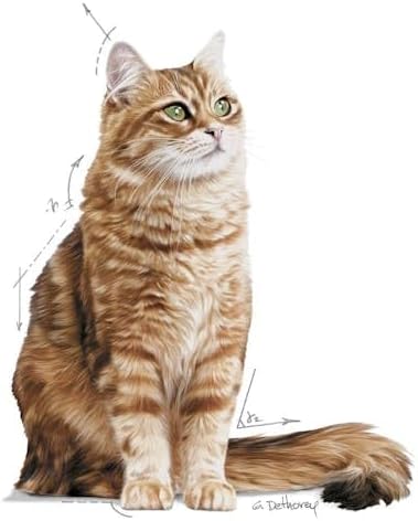 Royal Canin Feline Care Nutrition Digestive Care 400 gm