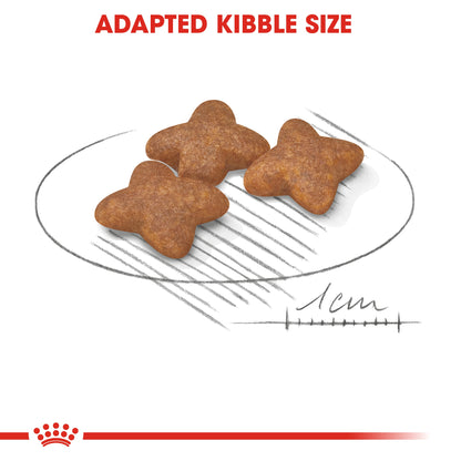 Royal Canin Mini Adult Dog Dry Food 800 GM, Royal Canin Size Health Nutrition Mini Adult Dry Dog Food 800 Gm