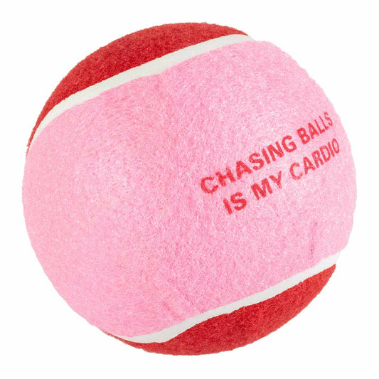 Ebi Coockoo CHASE ME XL Tennisball Dog Toy PINK 12.7CM