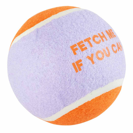 Ebi Coockoo FETCH ME XL Tennisball Dog Toy - PURPLE/12.7