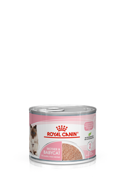 Royal Canin Feline Health Nutrition Mother & Babycat Mousse (Wet Food   Cans) 12 x 195 g