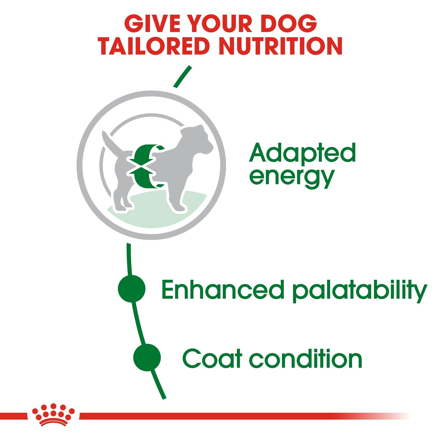 Royal Canin Mini Adult Dog Dry Food 800 GM, Royal Canin Size Health Nutrition Mini Adult Dry Dog Food 800 Gm