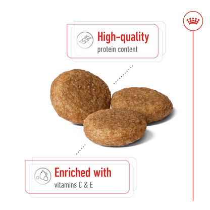 Royal Canin Size Health Nutrition Medium Adult 4 kg