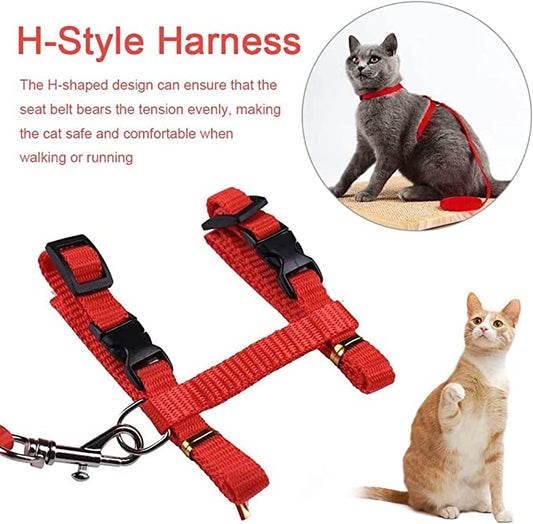 Cat Harness and Leash