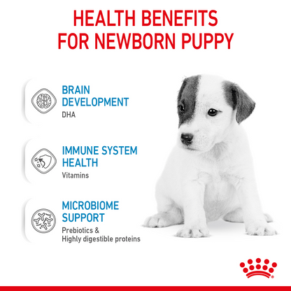 Royal Canin Size Health Nutrition Babydog Milk 400 g