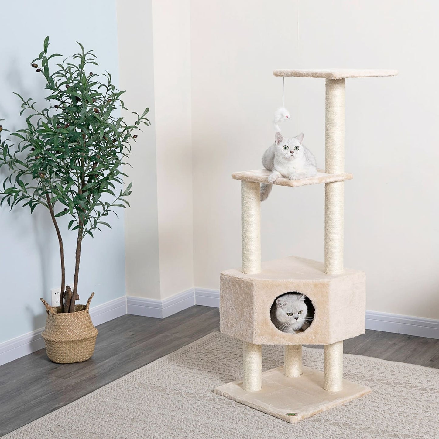 51" Cat Tree Condo