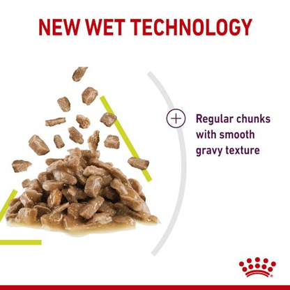 Royal Canin Feline Health Nutrition Sensory Smell Gravy (Wet Food   Pouches) 12 x 85 g