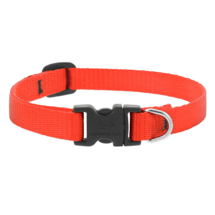 BASICS Adjustable Collar ORANGE 1/2" FOR SMALL DOGS