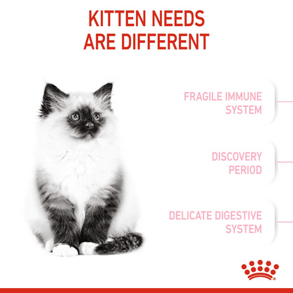 Buy Royal Canin Feline Health Nutrition Kitten 4 kg and Get FREE Royal Canin  Feline Health Nutrition Kitten Gravy (Wet Food - Pouches) 12 x 85 g