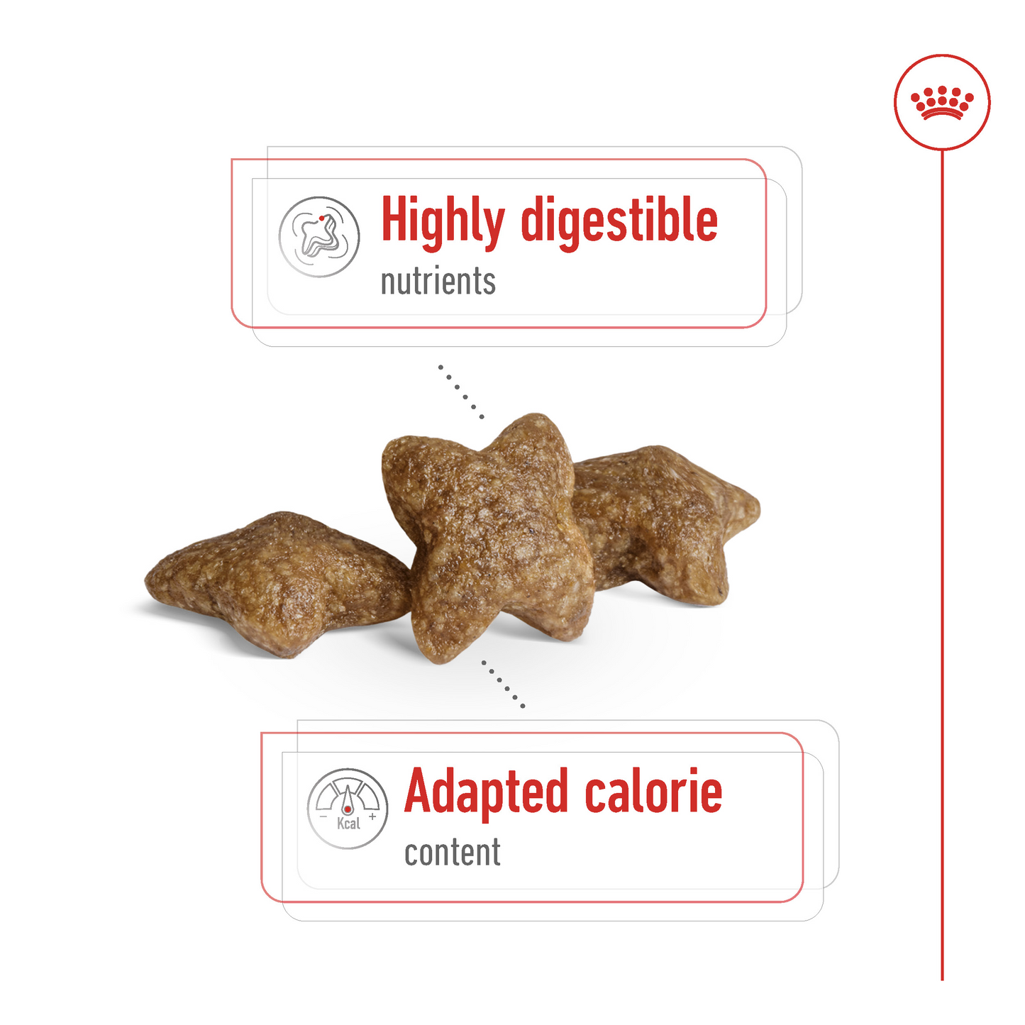 Royal Canin  Size Health Nutrition Mini Adult 4 kg