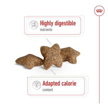 Royal Canin  Size Health Nutrition Mini Adult 4 kg