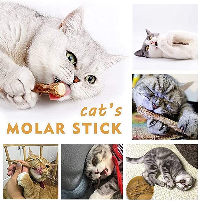 Organic Catnip Sticks - 20pcs All-Natural High-Performance Chew Toys for Cats