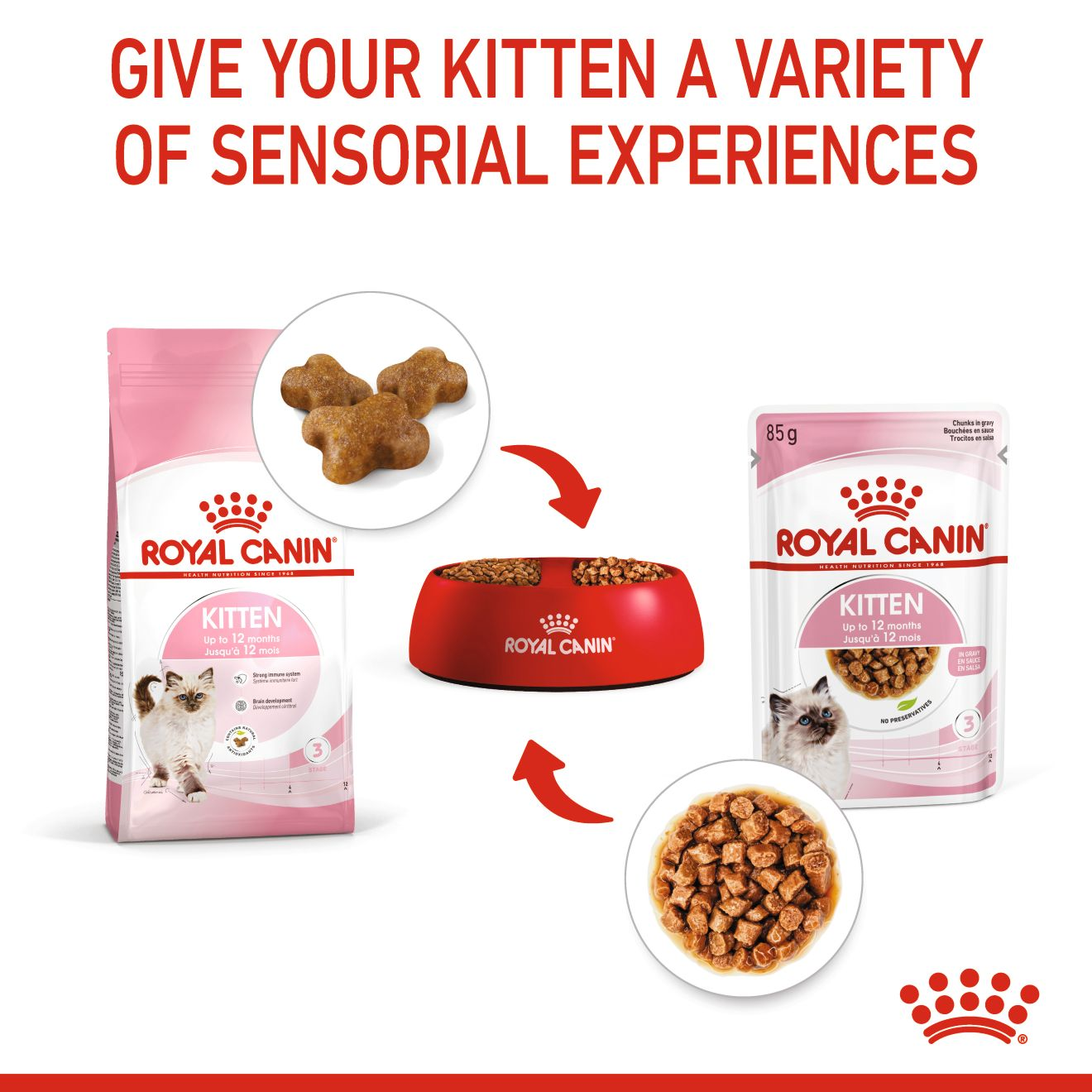 Royal Canin 12 x 85 gm Feline Health Nutrition Kitten Gravy (Wet Food Pouches)