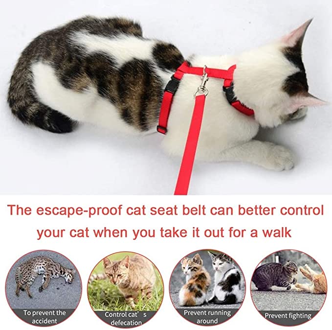 Cat Harness and Leash