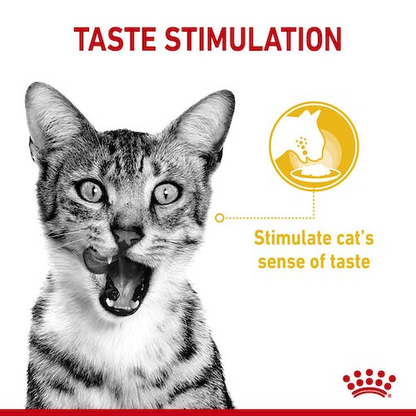 Royal Canin Feline Health Nutrition Sensory Taste Gravy (Wet Food   Pouches) 12 x 85 g