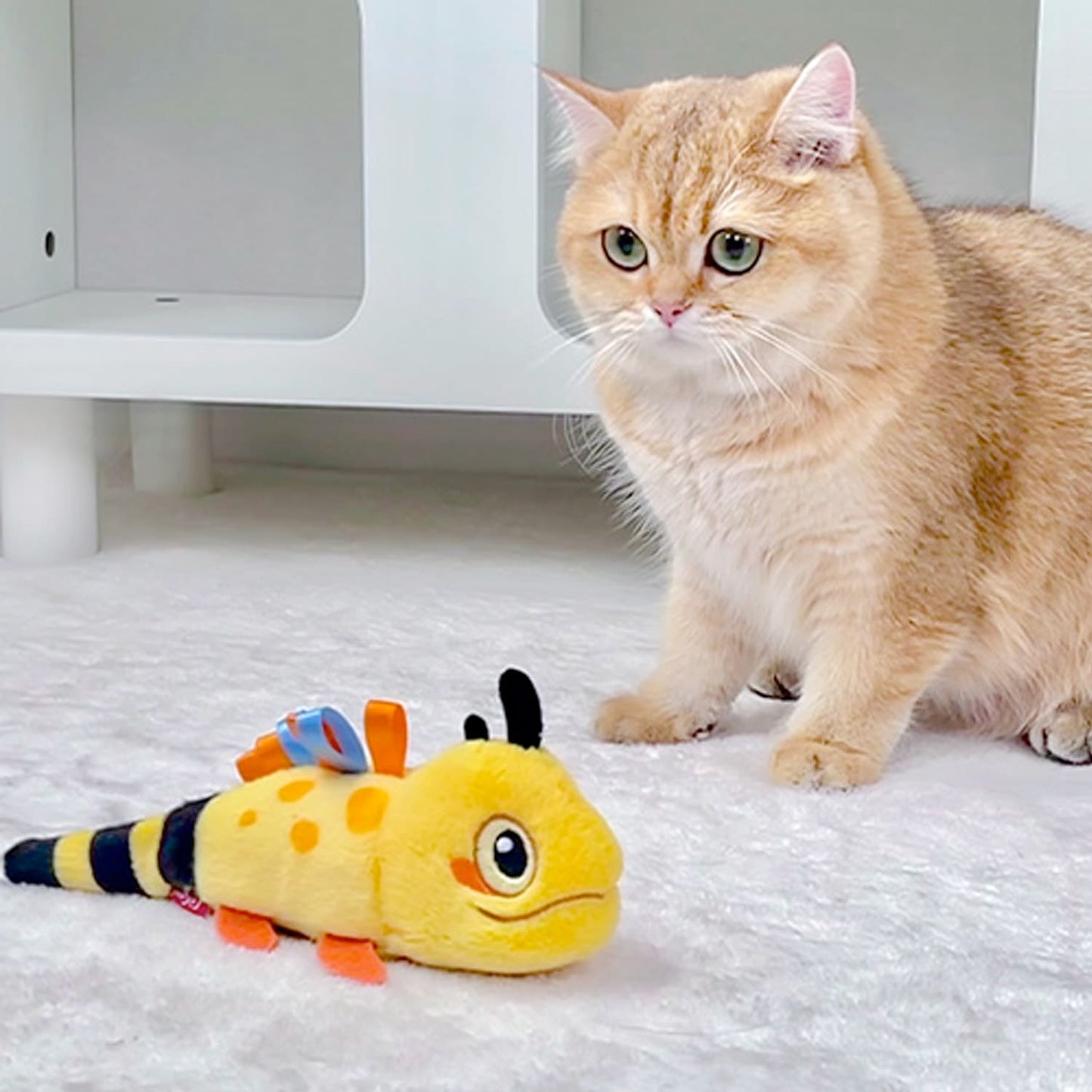 Swinging Tail Lizard