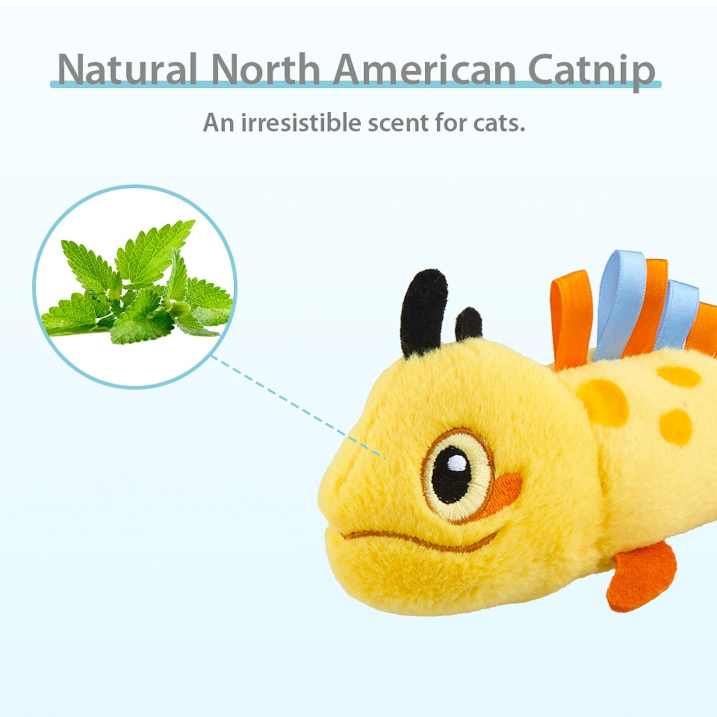 Swinging Tail Lizard