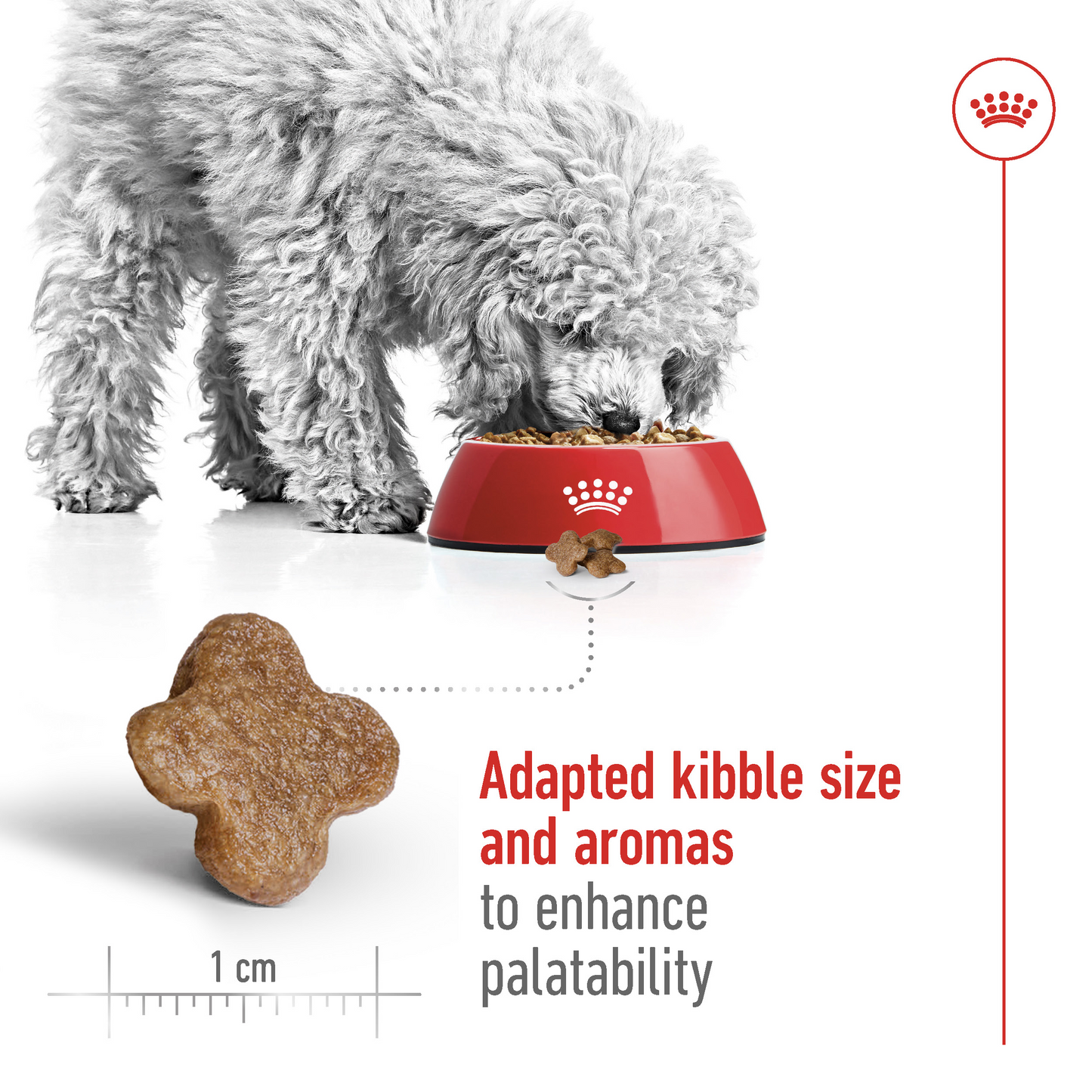Royal Canin Mini Adult Dog Dry Food, Health Nutrition Mini Adult Dry Dog Food 2 Kg Multicolor