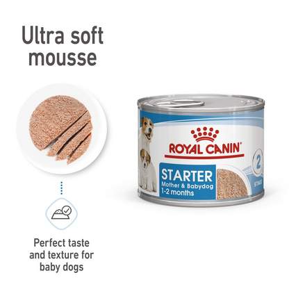 Royal Canin Canine Health Nutrition Starter Mousse (Wet Food   Cans) 12 x 195 g