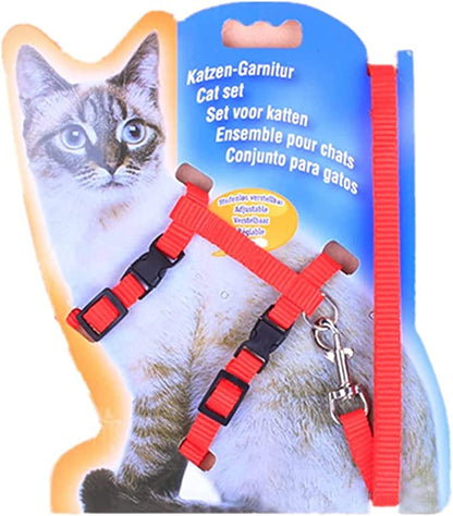 Cat Harness and Leash