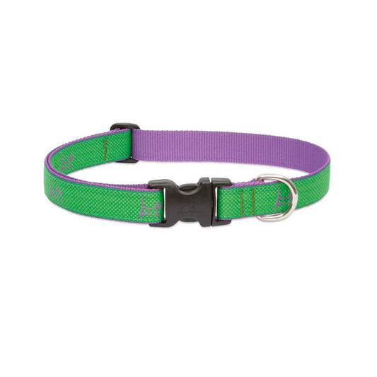 LupinePet 1/2" (Width)  8-12"(Neck) Adjustable Collar for Small Dogs - Augusta Green
