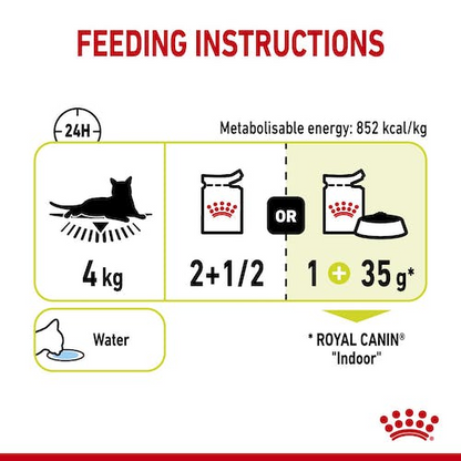 Royal Canin Feline Health Nutrition Sensory Smell Gravy (Wet Food   Pouches) 12 x 85 g