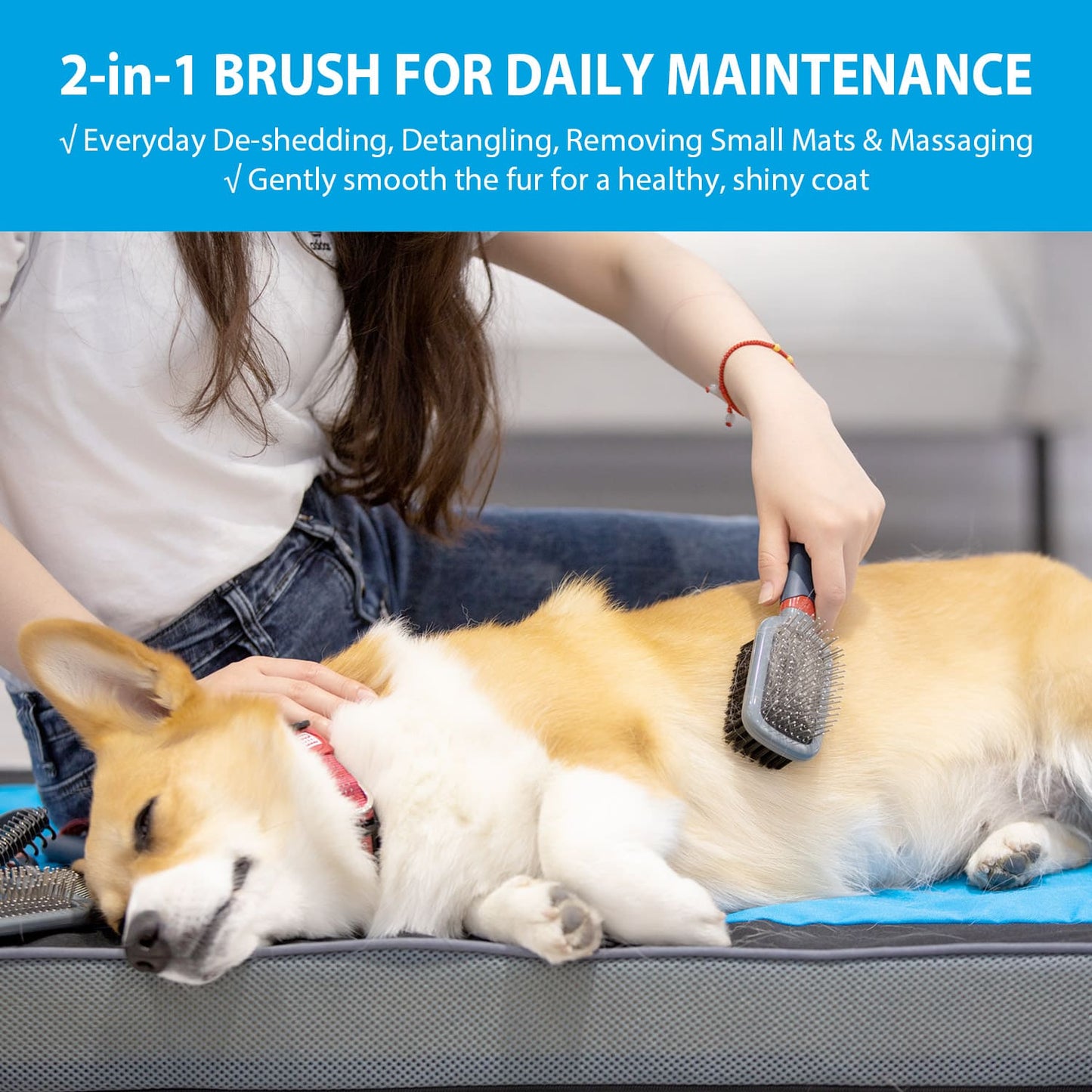 Double-Sided Brush Nylon Bristles & Pins for Dogs and Cats