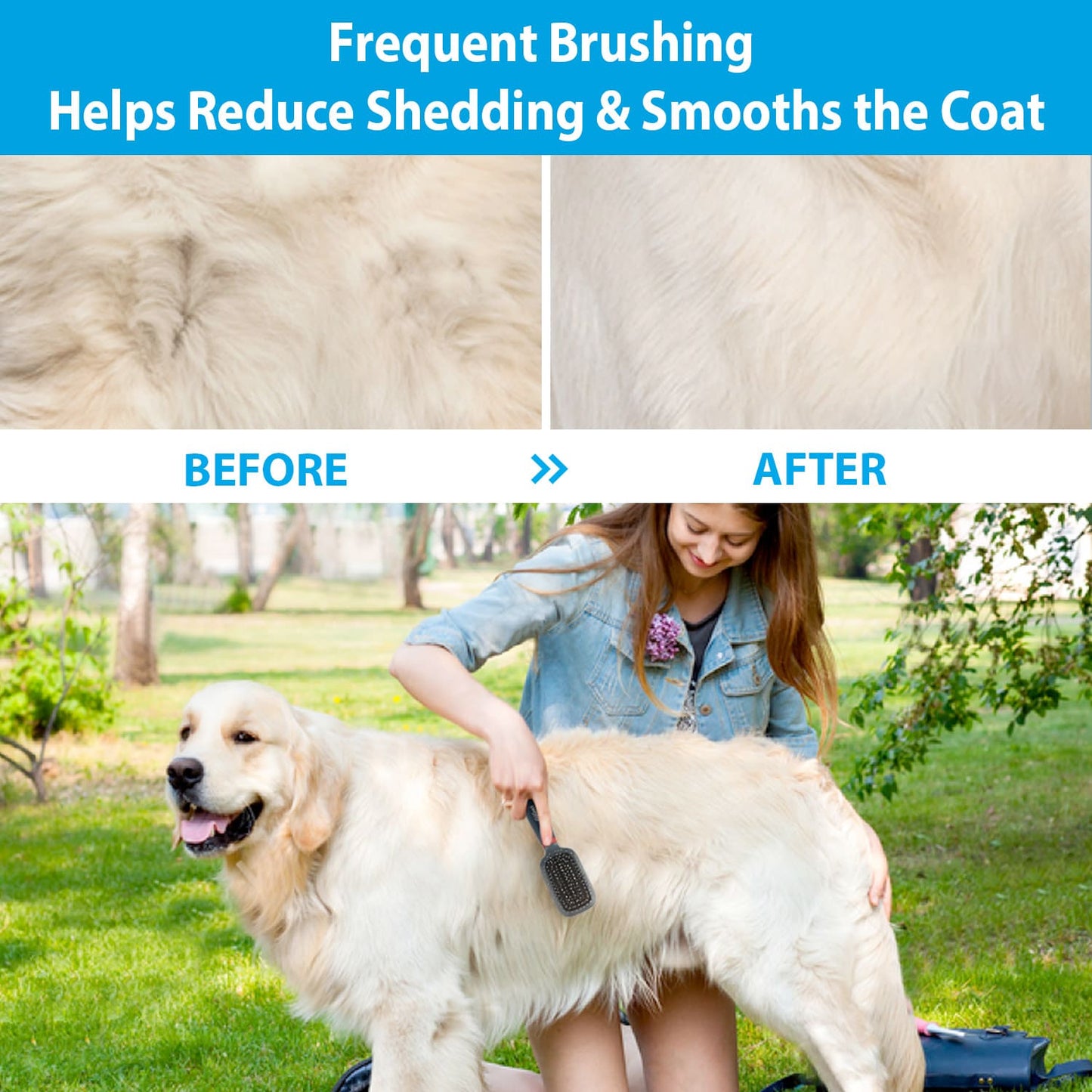 Double-Sided Brush Nylon Bristles & Pins for Dogs and Cats