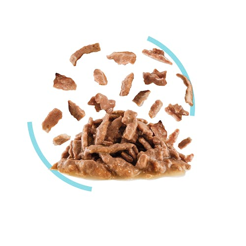 Royal Canin Feline Health Nutrition Sensory Feel Gravy (Wet Food   Pouches) 12 x 85 g