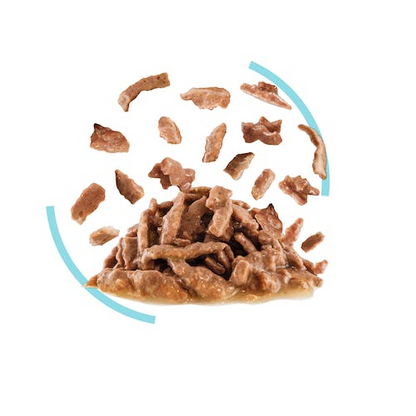 Royal Canin Feline Health Nutrition Sensory Feel Gravy (Wet Food   Pouches) 12 x 85 g