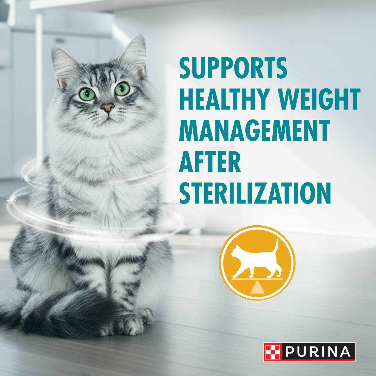 (1.2kg) Purina ONE Sterilcat Adult Dry Cat Food with Chicken for Sterilised Cats
