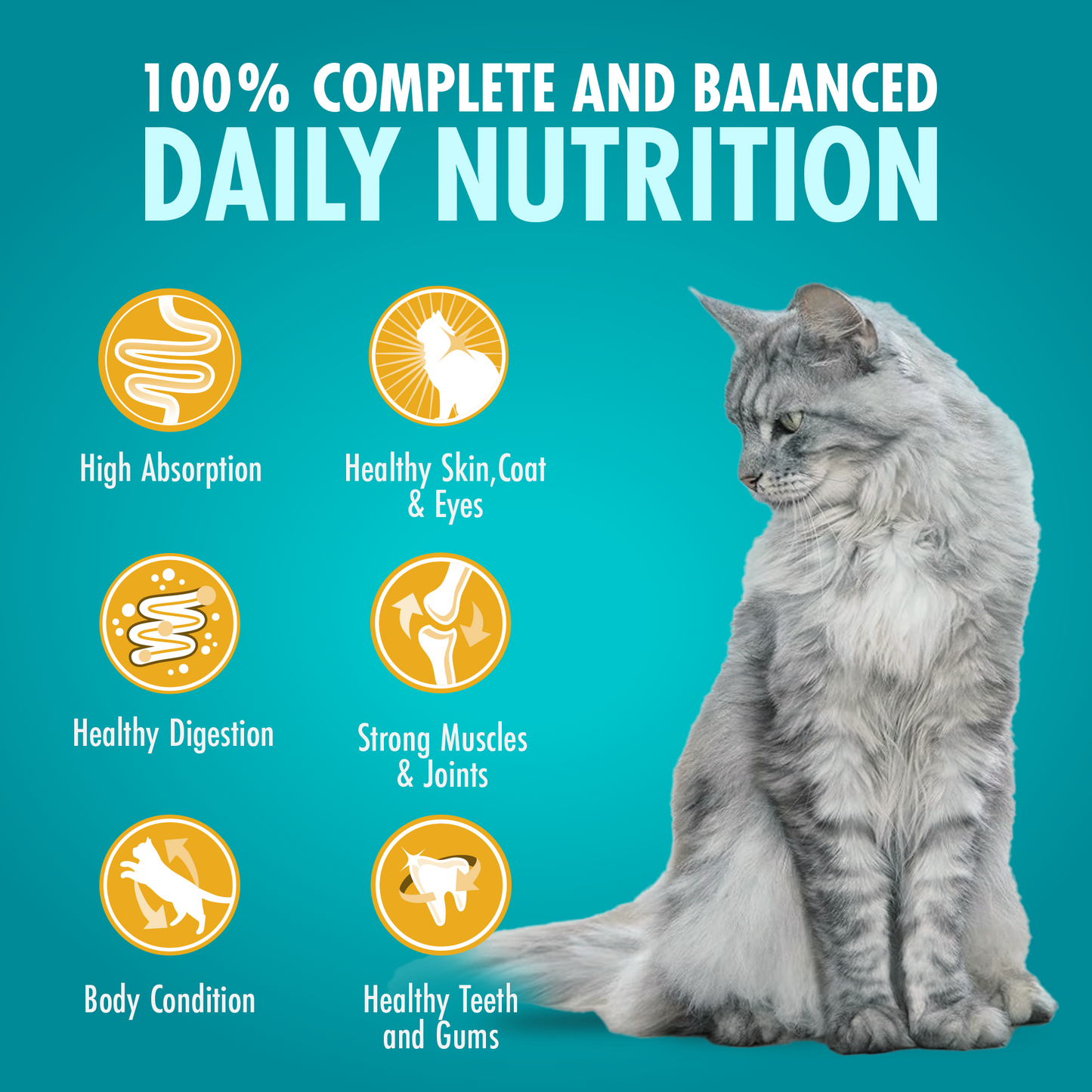 (1.2kg) Purina ONE Sterilcat Adult Dry Cat Food with Chicken for Sterilised Cats
