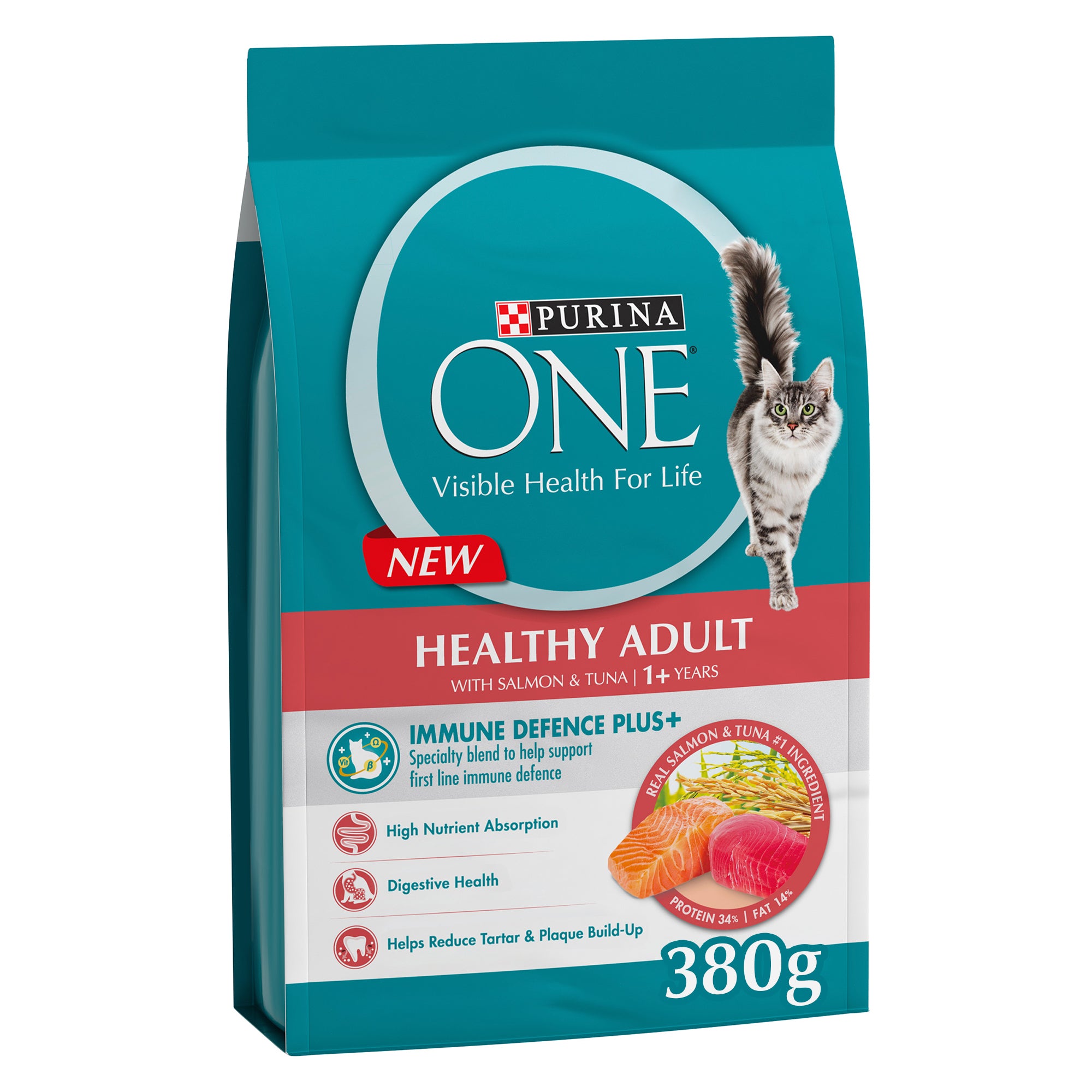 (380gm) Purina ONE Healthy Adult Dry Cat Food with Salmon & Tuna for Cats 1+ Year