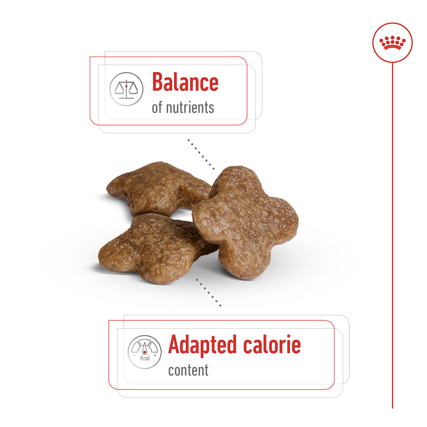 Royal Canin Mini Adult Dog Dry Food, Health Nutrition Mini Adult Dry Dog Food 2 Kg Multicolor