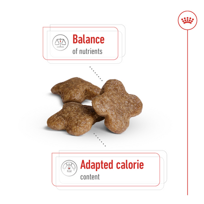 Royal Canin Mini Adult Dog Dry Food, Health Nutrition Mini Adult Dry Dog Food 2 Kg Multicolor